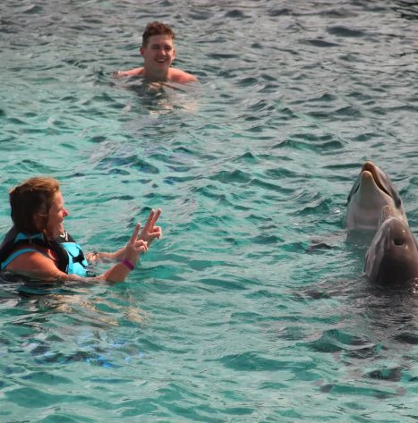 dolfijnen Chico's Seru Hulanda Resort